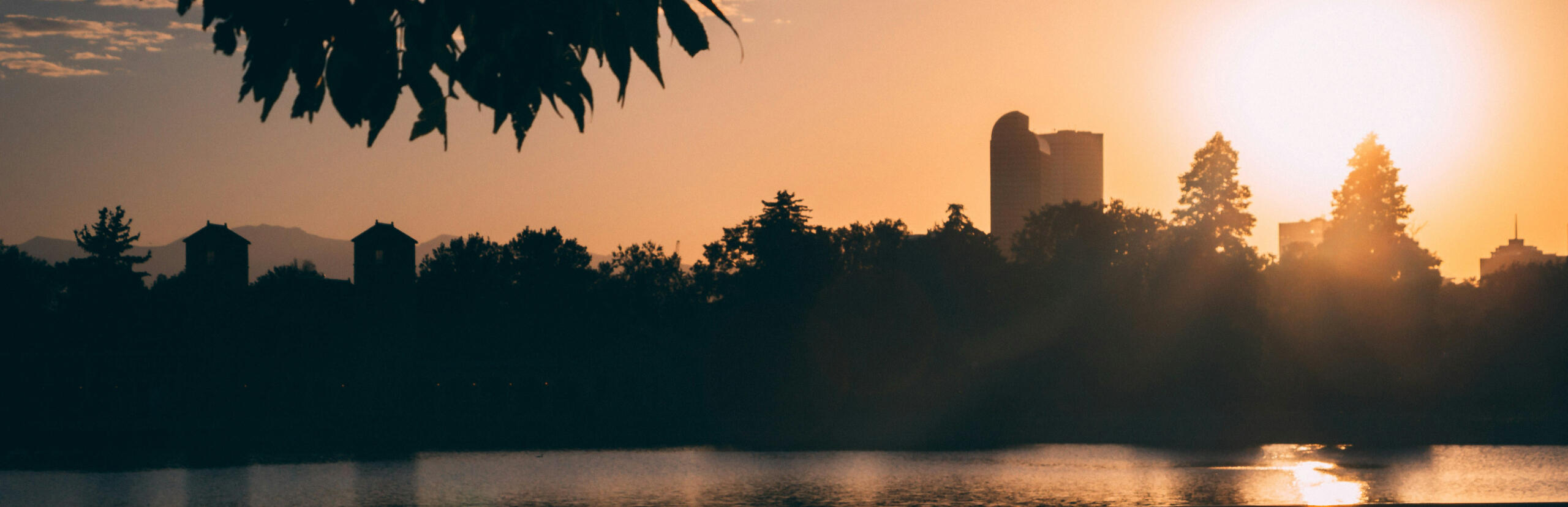 MQS Compass MQS Compass