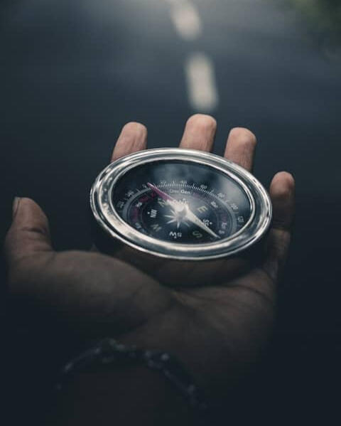 Distractions Distractions lose their pull